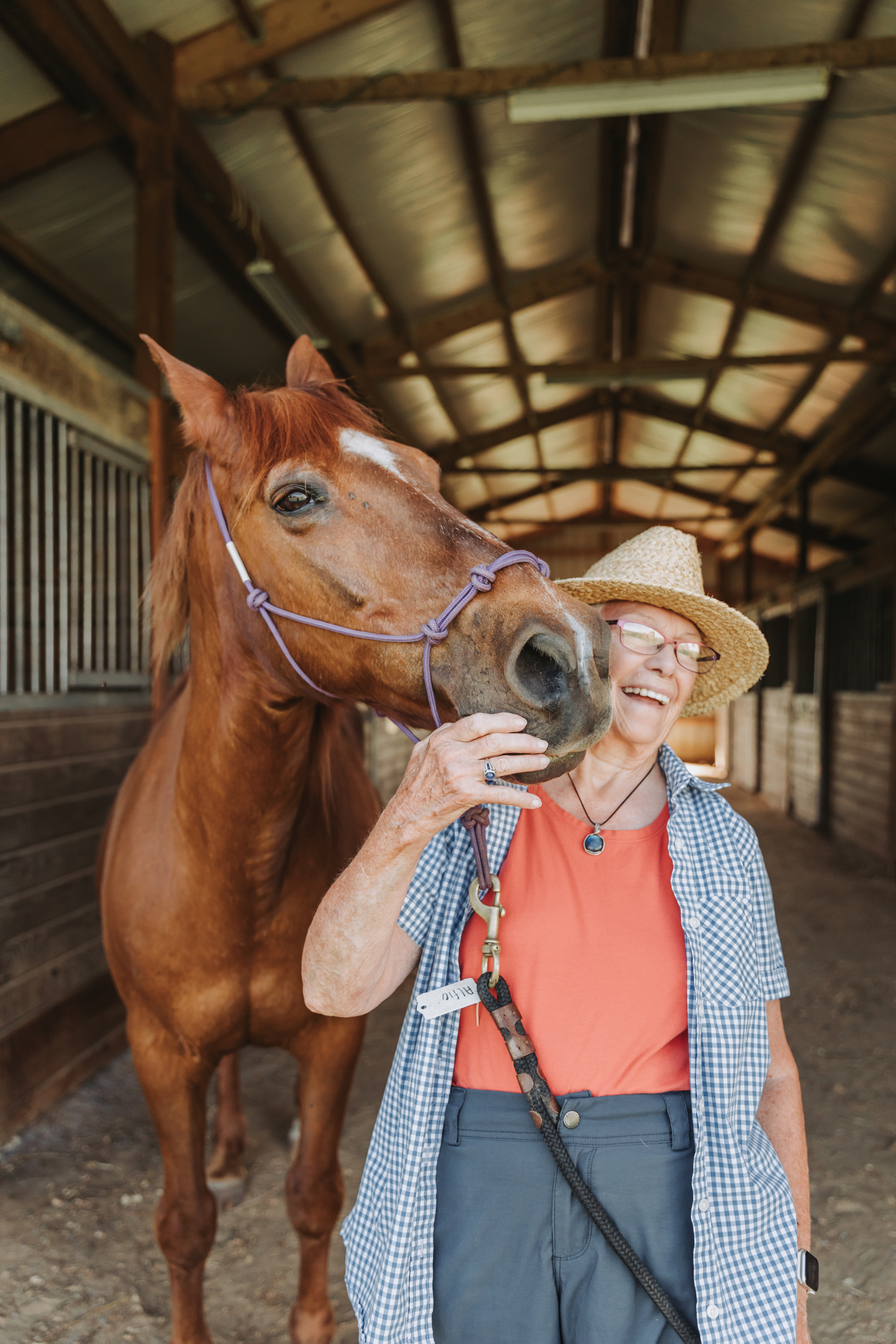 A rider and her horse sharing a quiet moment