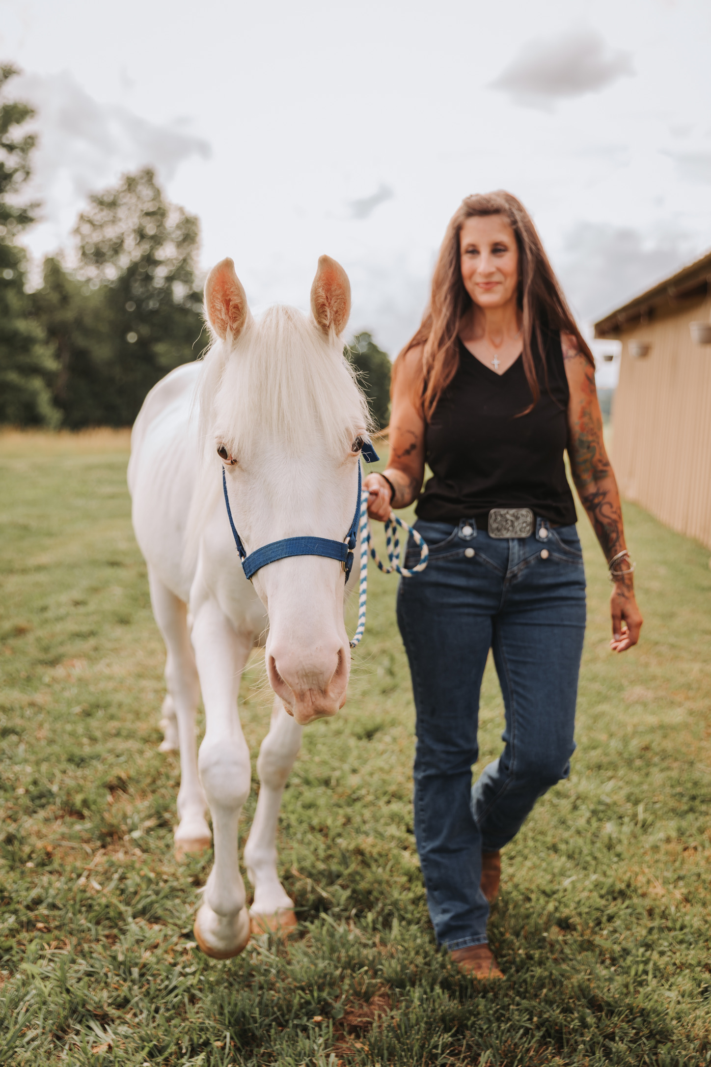 Walking a cremello horse through the pasture