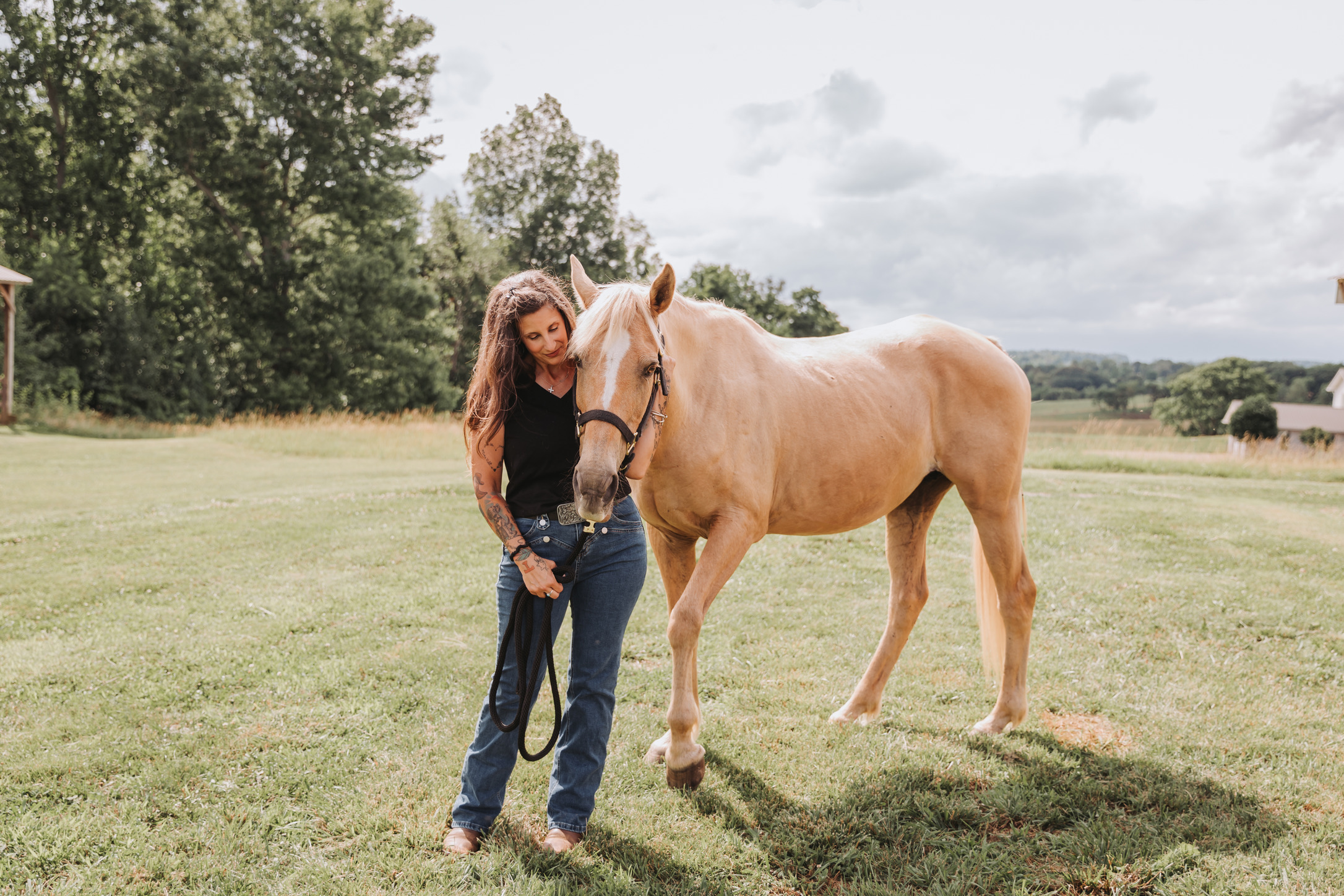 Walking a palomino in the pasture at golden hour