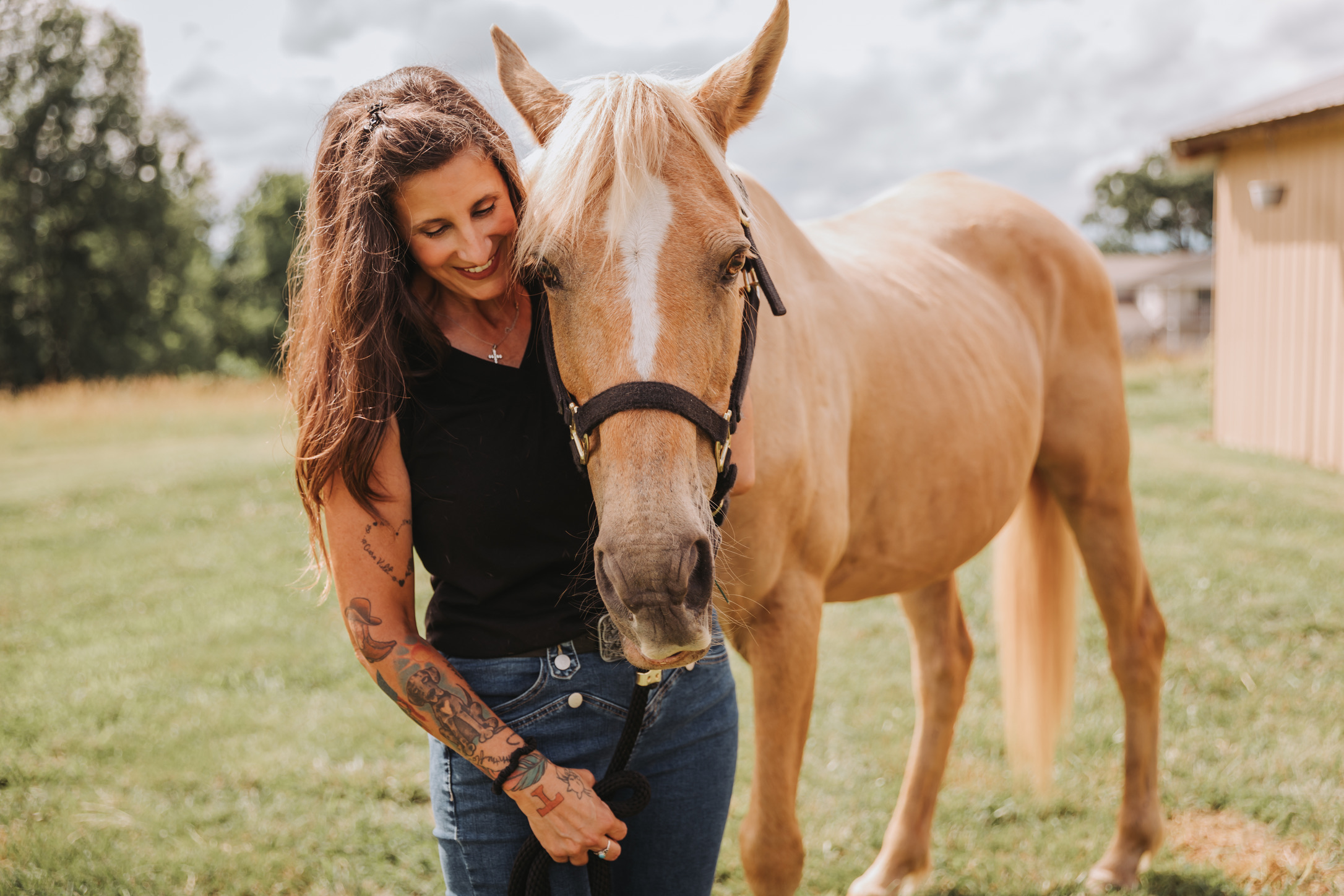 A quiet moment with a palomino in the field