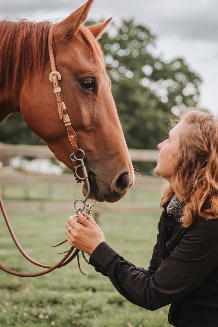 A rider looking up at her chestnut horse
