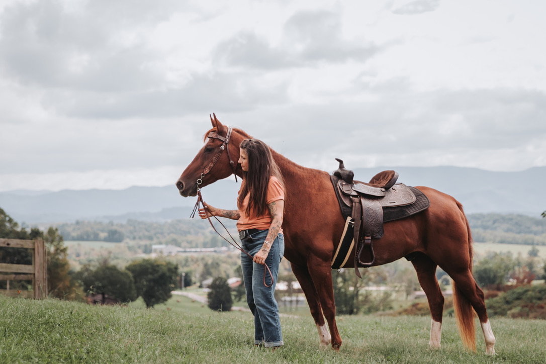 A saddled horse and handler with the mountains behind