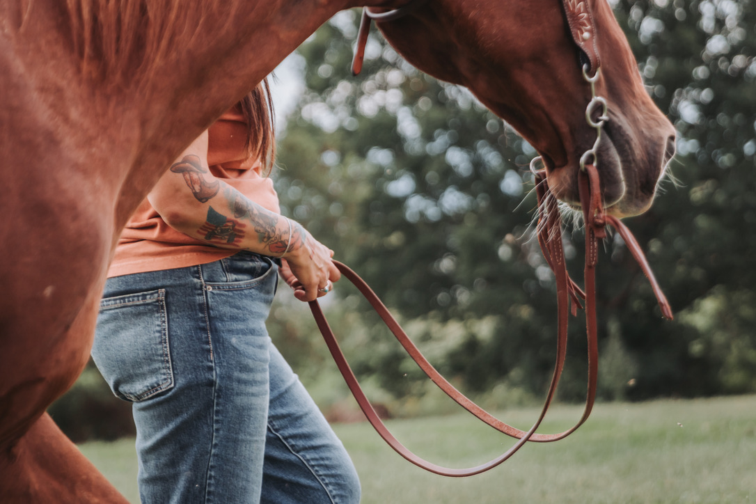 A close moment leading a horse on a loose rein