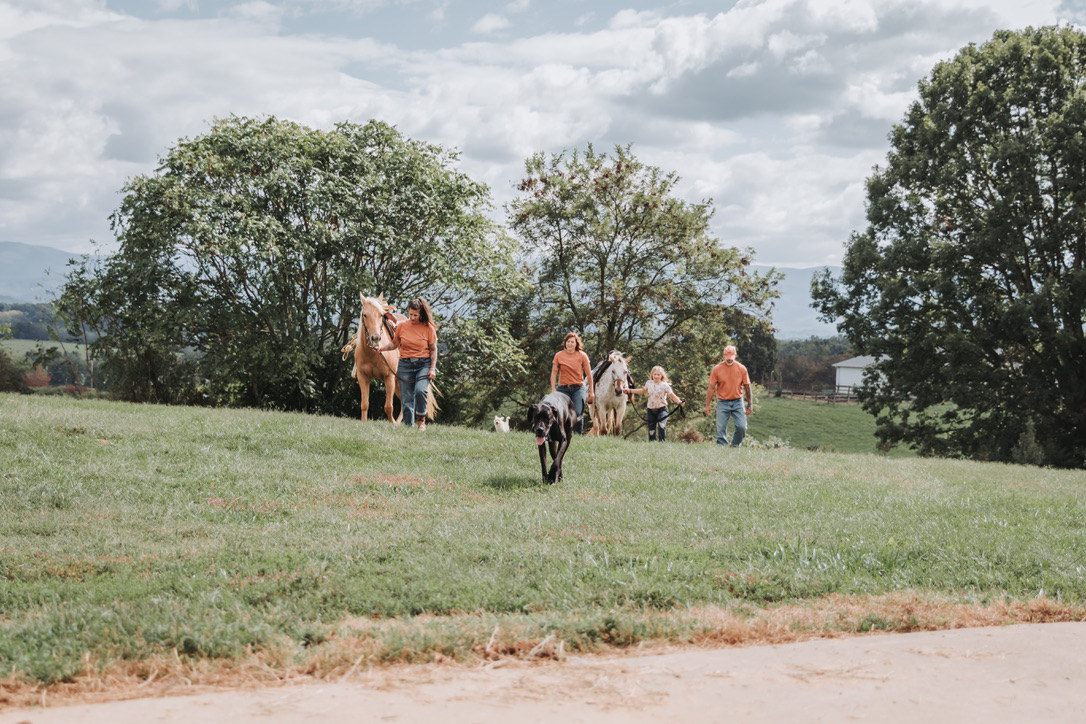 The family walking horses out across the hill