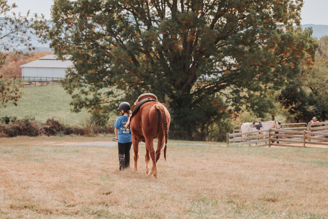 A young rider leading a horse out to the arena