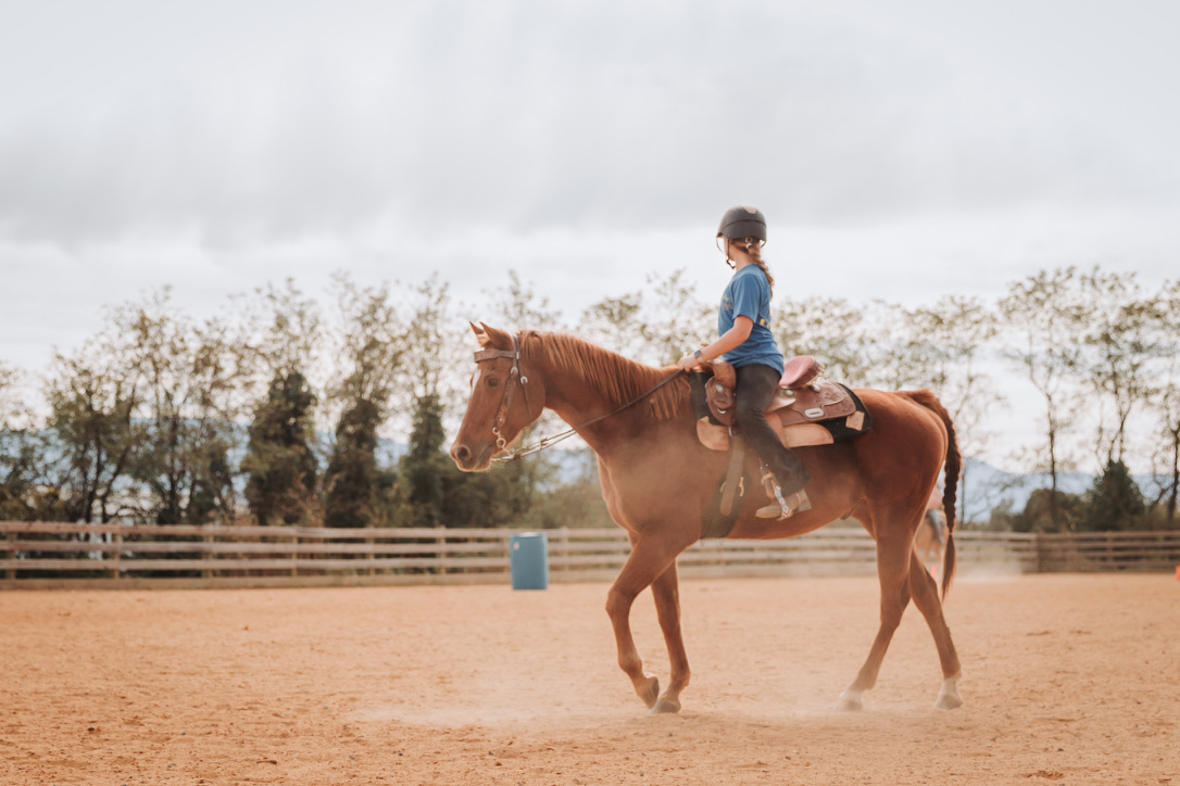 A young rider schooling a horse in the arena