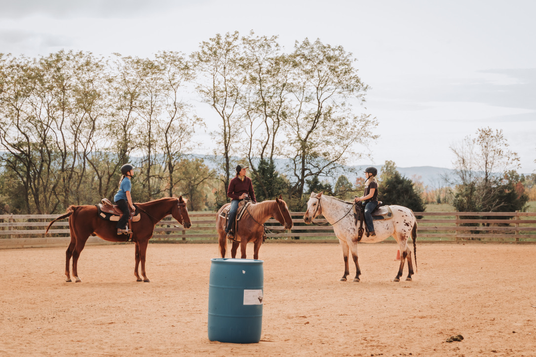 A group lesson in the arena