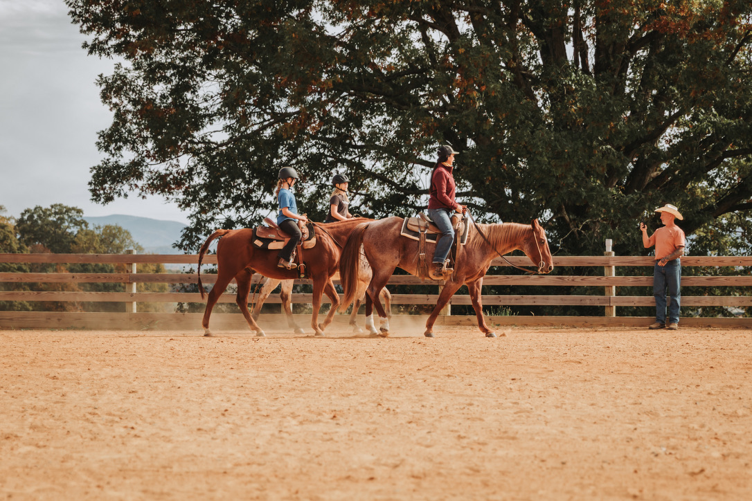 A riding lesson under the oak by the arena