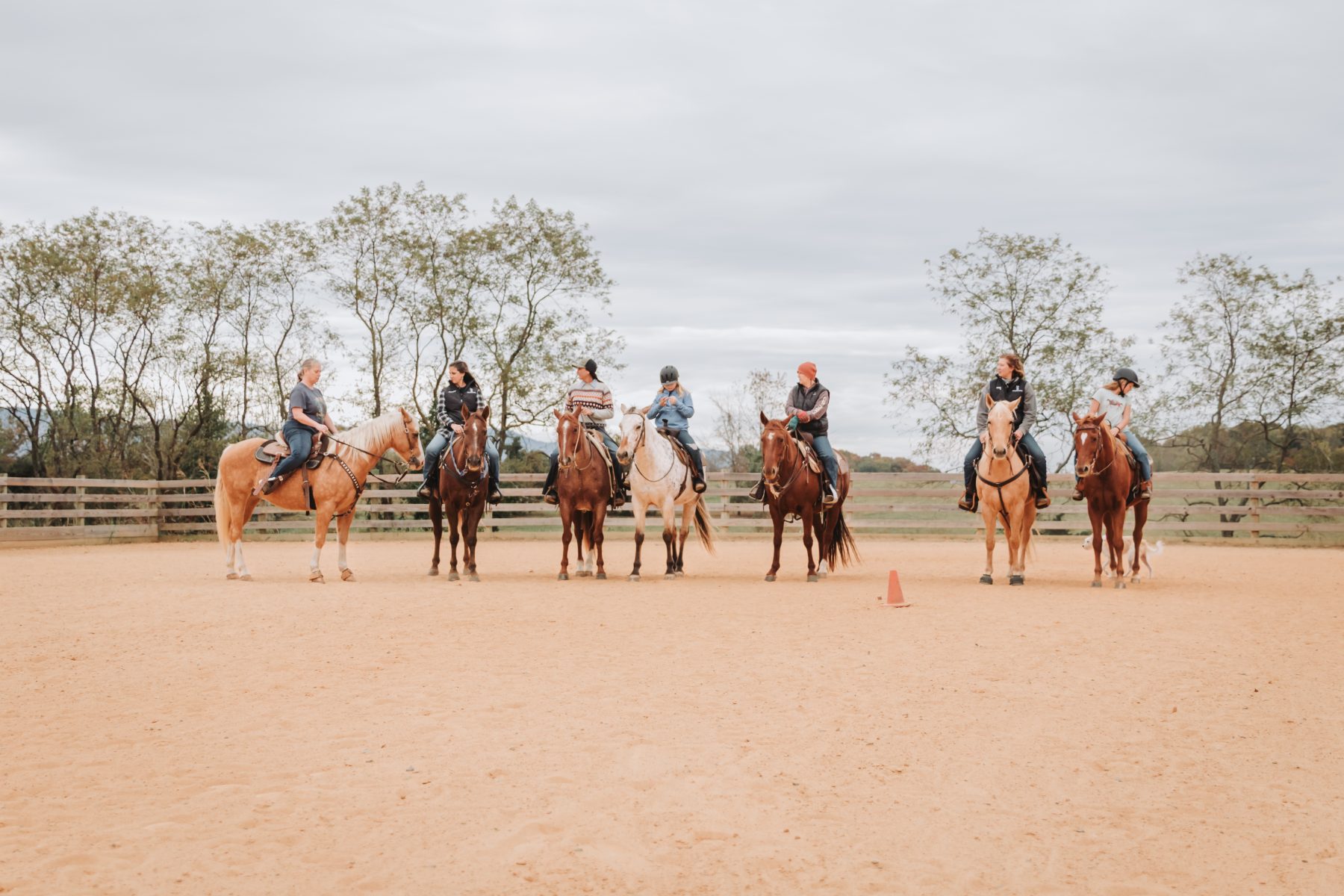 A group of young riders lined up in the arena at Gracewood Acres