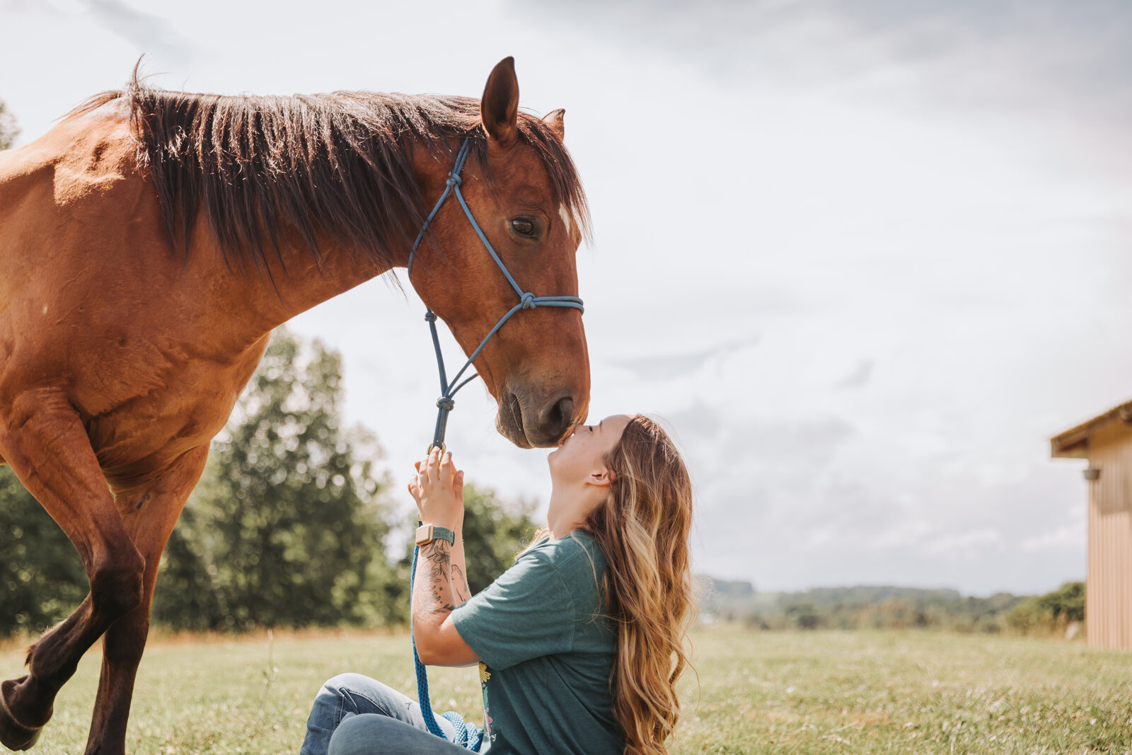 A horse lowering its head to nuzzle one of the crew sitting in the grass, East Tennessee hills behind