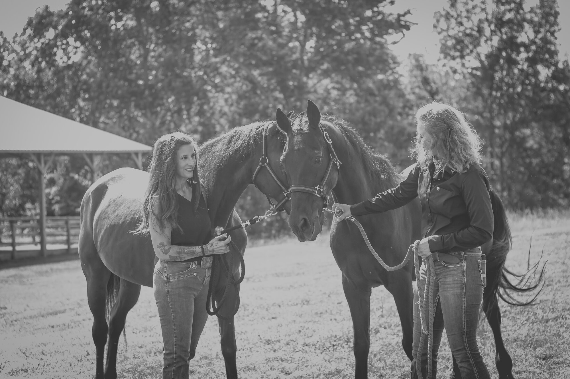Two of the Gracewood Acres crew working quietly with a horse in the paddock, the barn behind — black and white