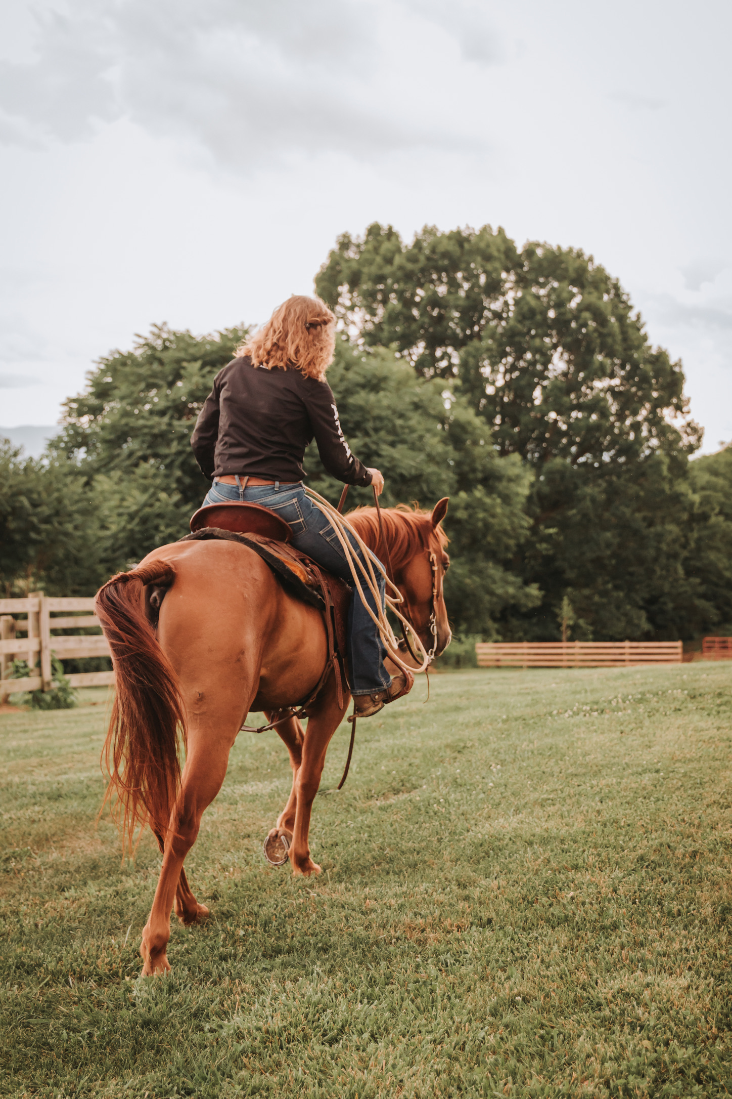 A rider schooling a chestnut horse from the saddle, working through a turn