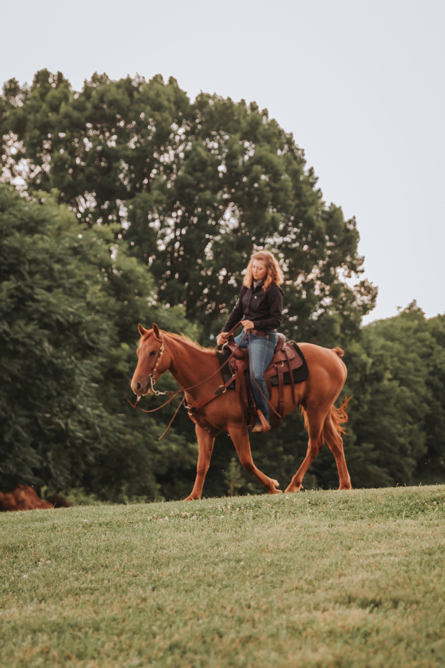 A rider walking out a chestnut horse under saddle in the pasture at Gracewood Acres